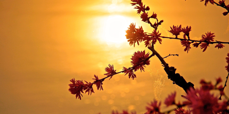 O que acabou, acabou?