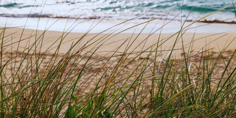 Versos eternizam a existência