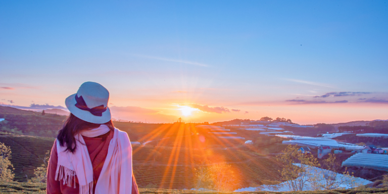 Cada amanhecer é um novo hoje