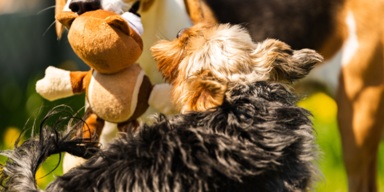 É nas pequenas coisas que reside a felicidade