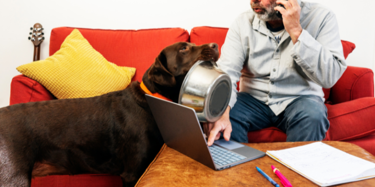 Dever e lazer no ringue