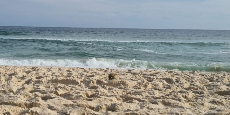 E não vejo mais o mar…