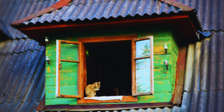 Eu gosto de ficar dentro de casa feito um gato