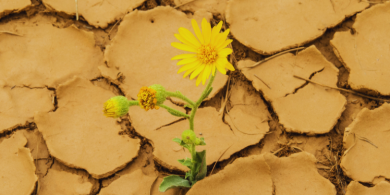 Até o caos completo?